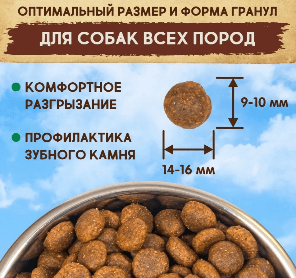 5659 040.PNG