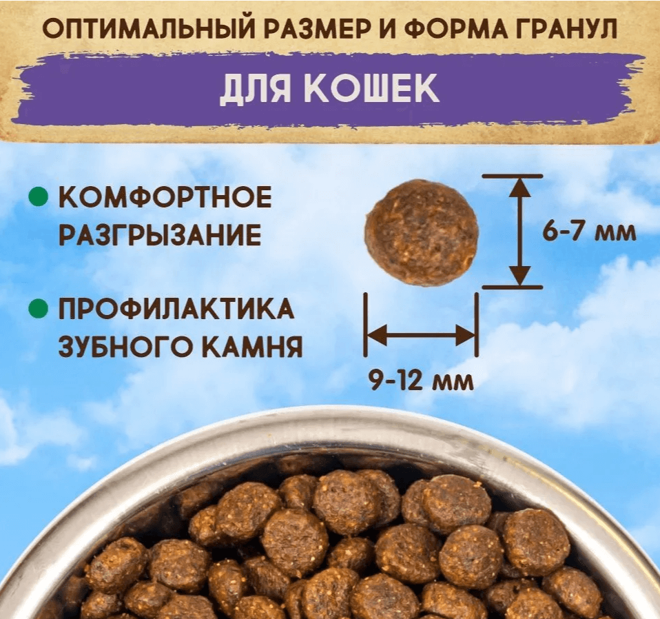 5659 110.PNG